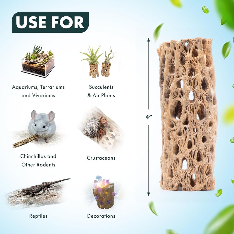 SubstrateSource Natural Cholla Wood - Driftwood for Aquariums, Air Plant Base, Hermit Crab and Freshwater Shrimp Hideout, Fish Tank Decoration, Chinchilla Chews, Reptile Habitat Wood - 4 Inch, 3pc - Image 4